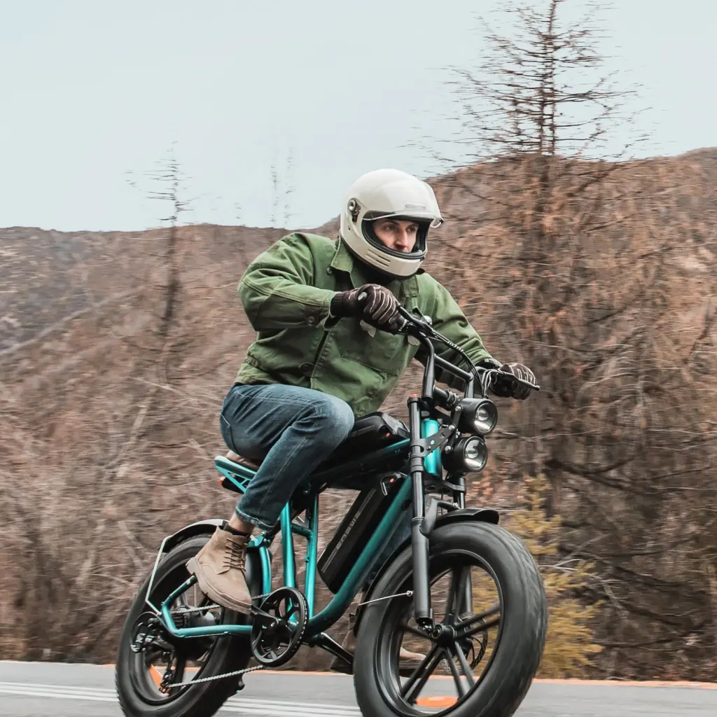 ENGWE M20 — 5
